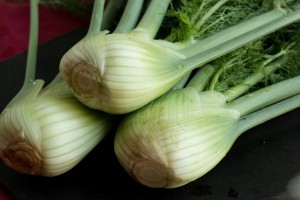 Fennel Close